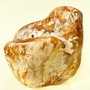 Versteend Hout