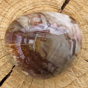 Versteend Hout geslepen