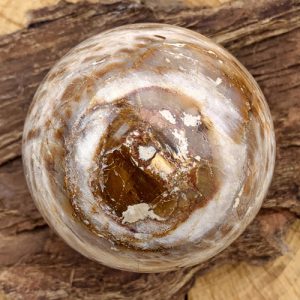 Versteend Hout bol fossiel 6,5 cm