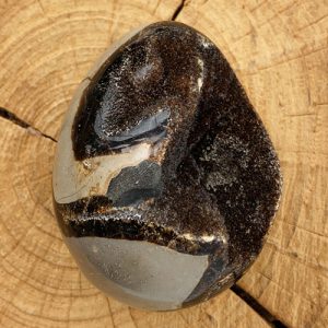 Septaria Septarie drakenei