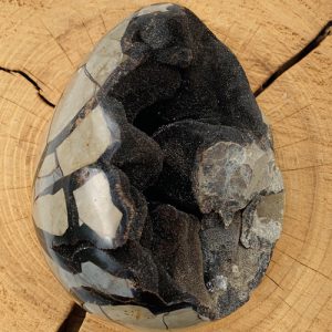 Septaria Septarie dragons egg