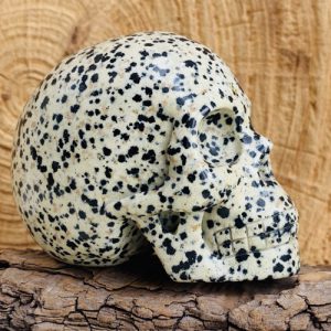 Dalmatier Jaspis schedel skull