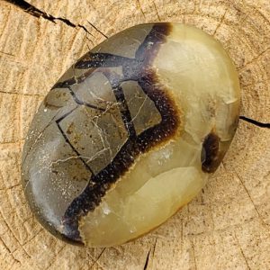 Septaria Septarie mineraal voor aarding